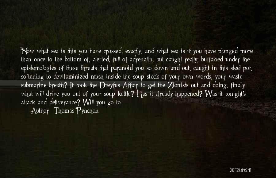 Your Threats Quotes By Thomas Pynchon