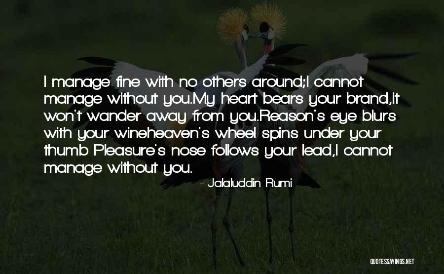 Your Thumb Quotes By Jalaluddin Rumi Your Thumb Quotes By Jalaluddin Rumi