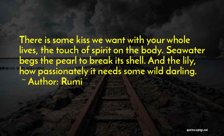 Your Touch Love Quotes By Rumi