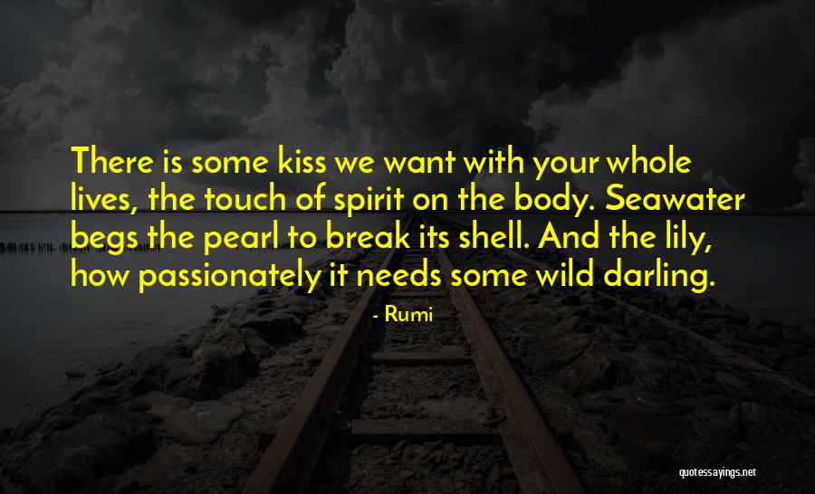 Your Touch Love Quotes By Rumi