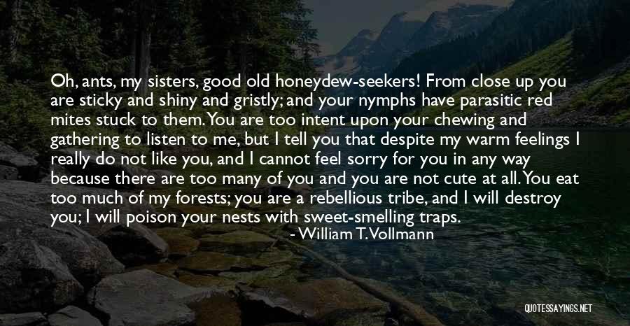Your Tribe Quotes By William T. Vollmann Your Tribe Quotes By William T. Vollmann