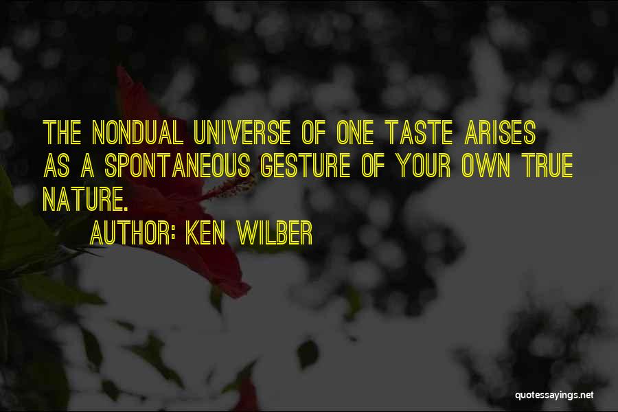 Your True Beauty Quotes By Ken Wilber