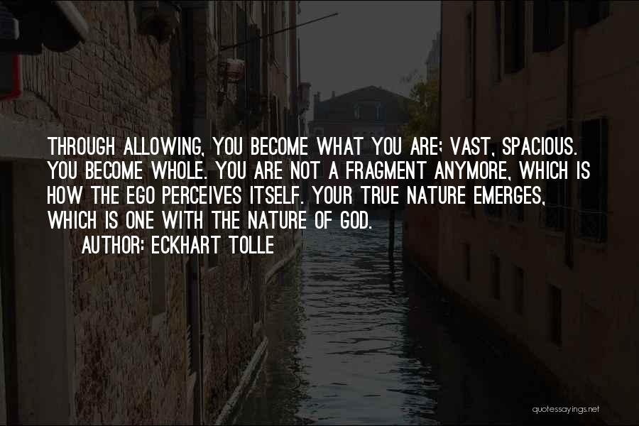 Your True Nature Quotes By Eckhart Tolle