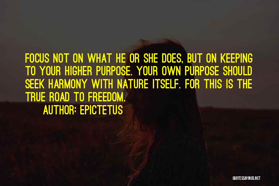 Your True Nature Quotes By Epictetus