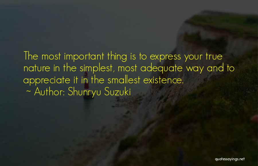 Your True Nature Quotes By Shunryu Suzuki
