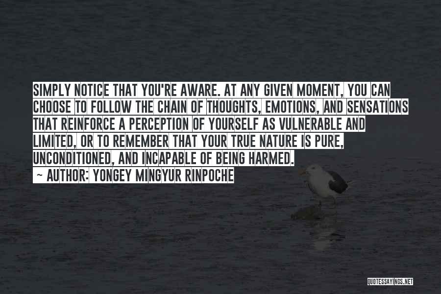 Your True Nature Quotes By Yongey Mingyur Rinpoche