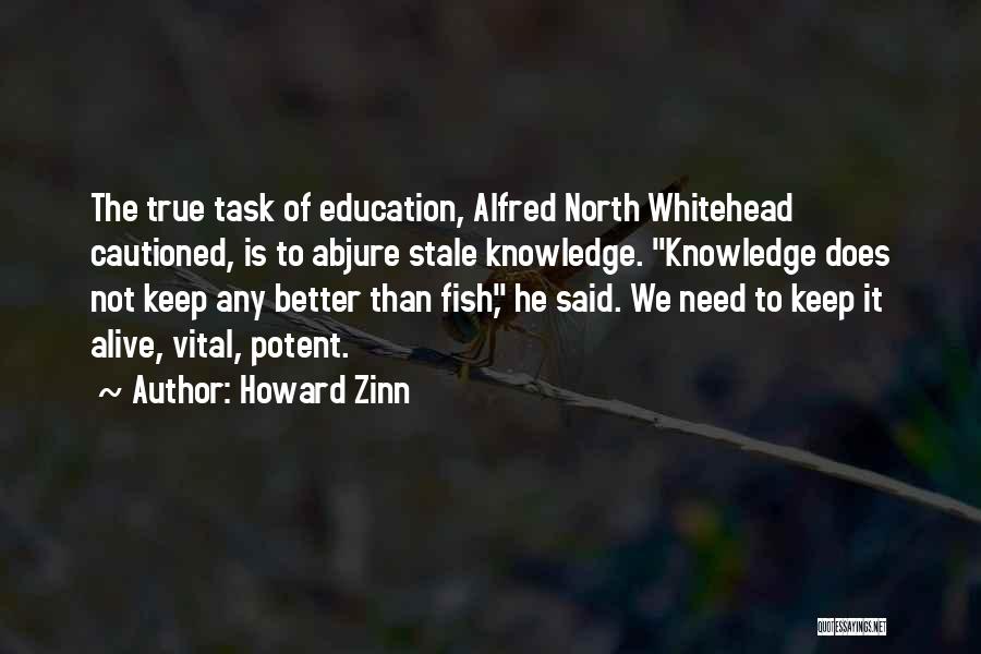 Your True North Quotes By Howard Zinn