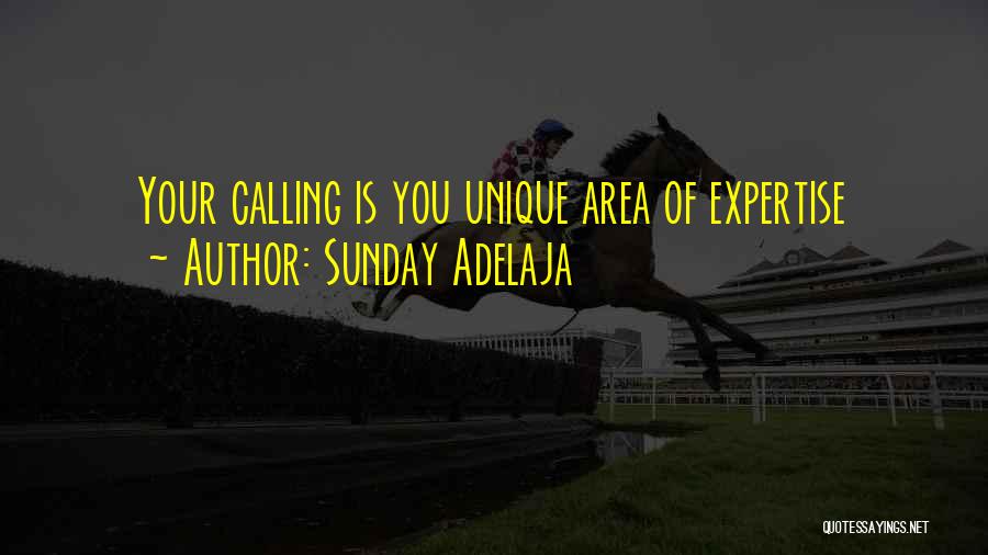 Your Uniqueness Quotes By Sunday Adelaja