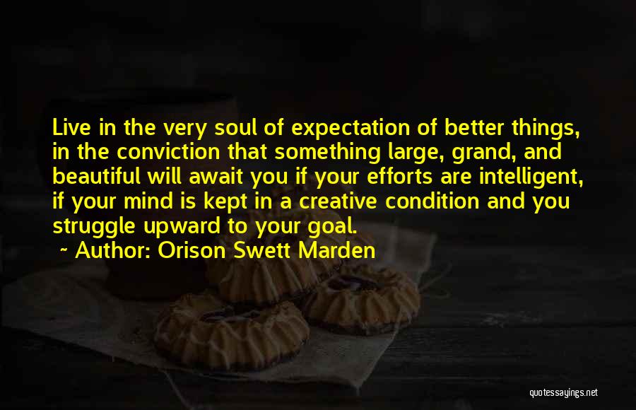 Your Very Beautiful Quotes By Orison Swett Marden