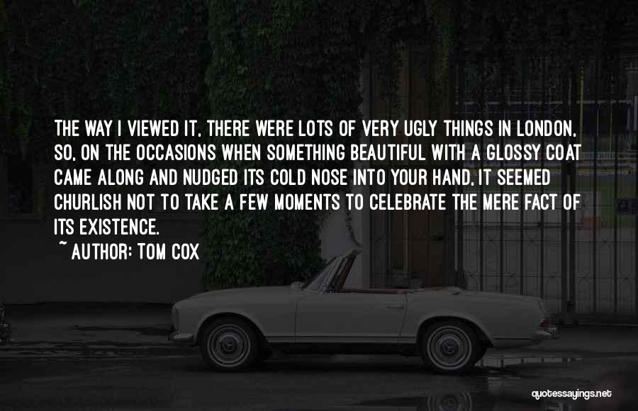 Your Very Beautiful Quotes By Tom Cox