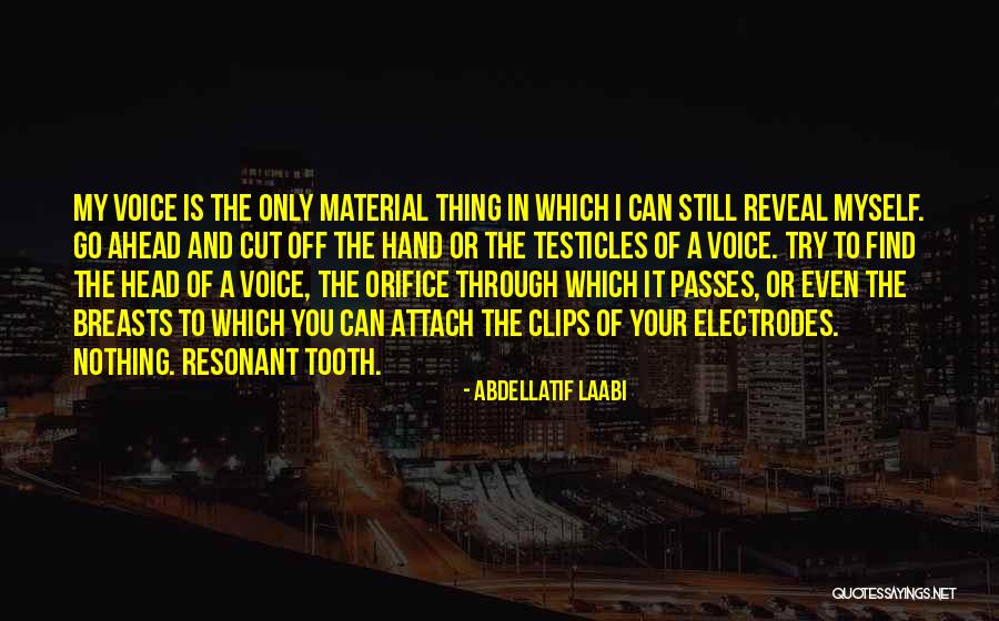Your Voice Quotes By Abdellatif Laabi Your Voice Quotes By Abdellatif Laabi