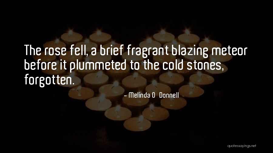 Your Welcome Brief Quotes By Melinda O'Donnell Your Welcome Brief Quotes By Melinda O'Donnell