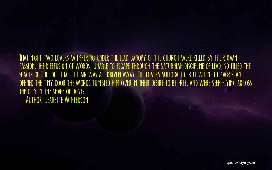 Your Words Killed Me Quotes By Jeanette Winterson Your Words Killed Me Quotes By Jeanette Winterson