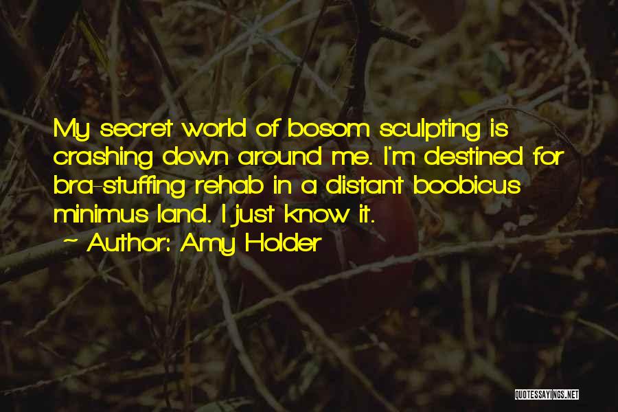 Your World Crashing Down Quotes By Amy Holder