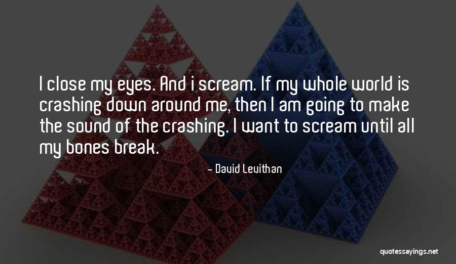 Your World Crashing Down Quotes By David Levithan