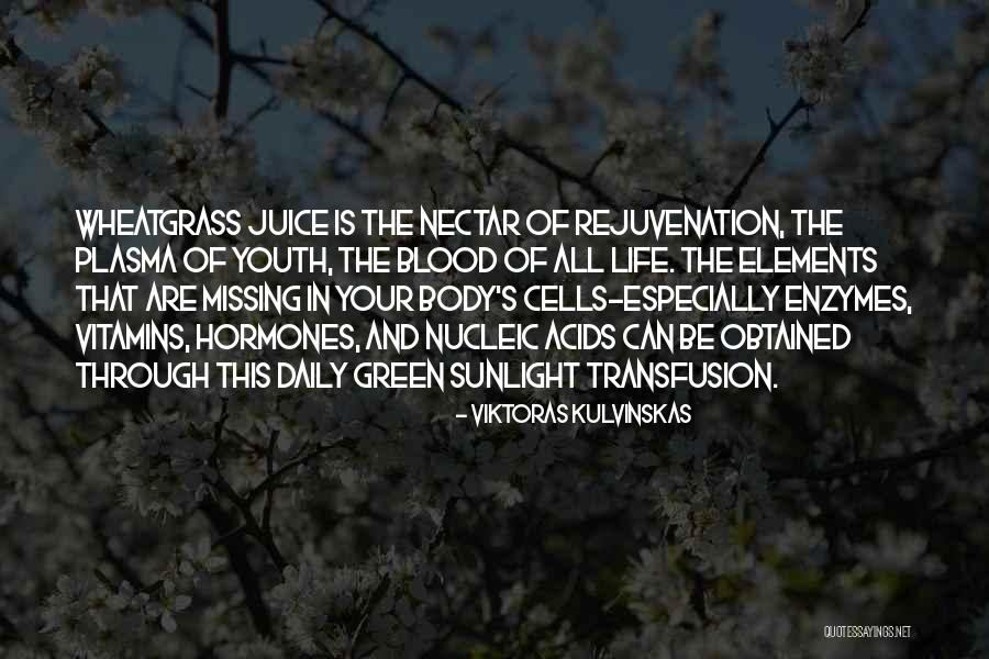 Your Youth Quotes By Viktoras Kulvinskas Your Youth Quotes By Viktoras Kulvinskas