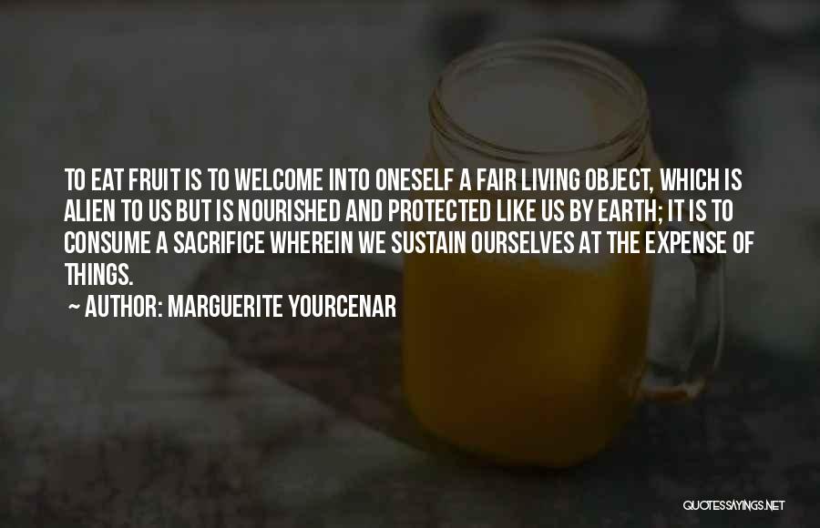 Yourcenar Marguerite Quotes By Marguerite Yourcenar