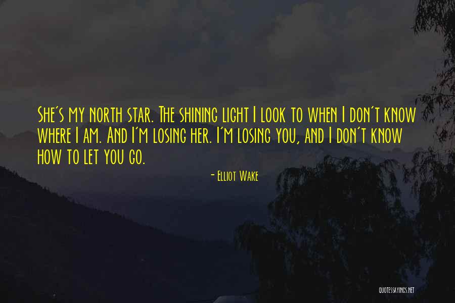 You're A Shining Star Quotes By Elliot Wake