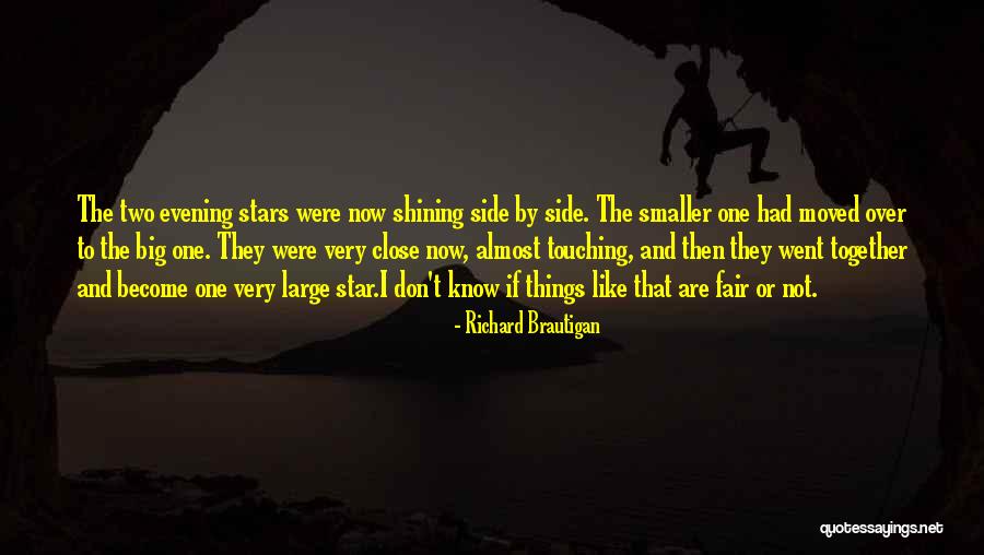 You're A Shining Star Quotes By Richard Brautigan