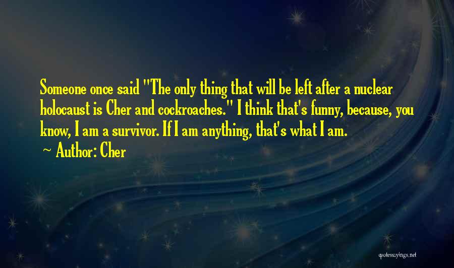 You're A Survivor Quotes By Cher