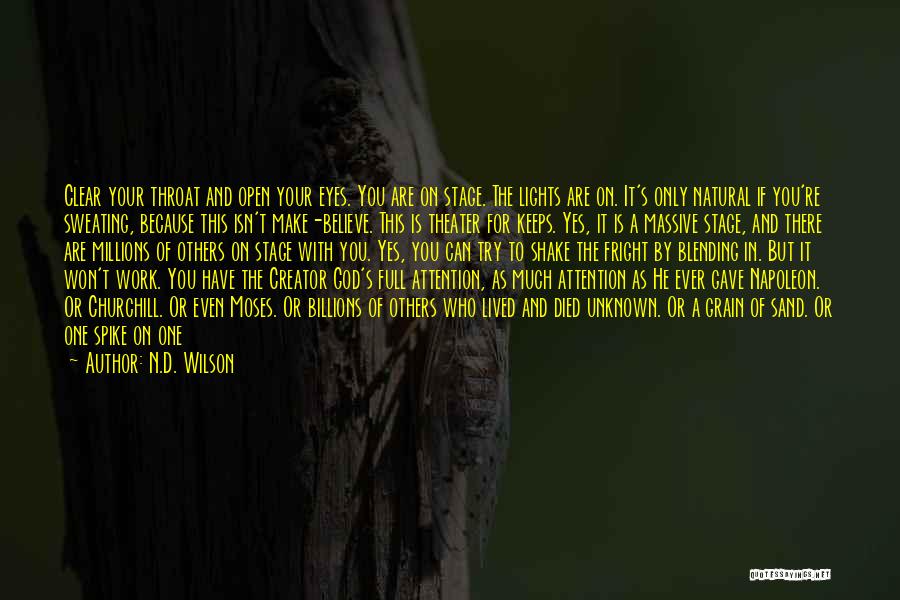 You're A Work Of Art Quotes By N.D. Wilson