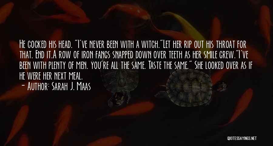 You're All The Same Quotes By Sarah J. Maas