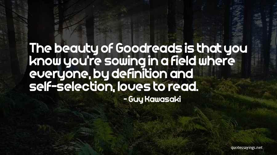 You're Beauty Quotes By Guy Kawasaki