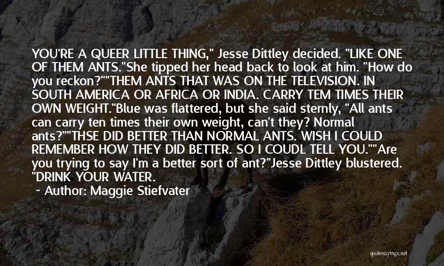 You're Better Than Them Quotes By Maggie Stiefvater