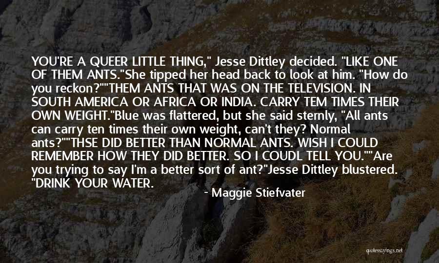 You're Better Than Them Quotes By Maggie Stiefvater