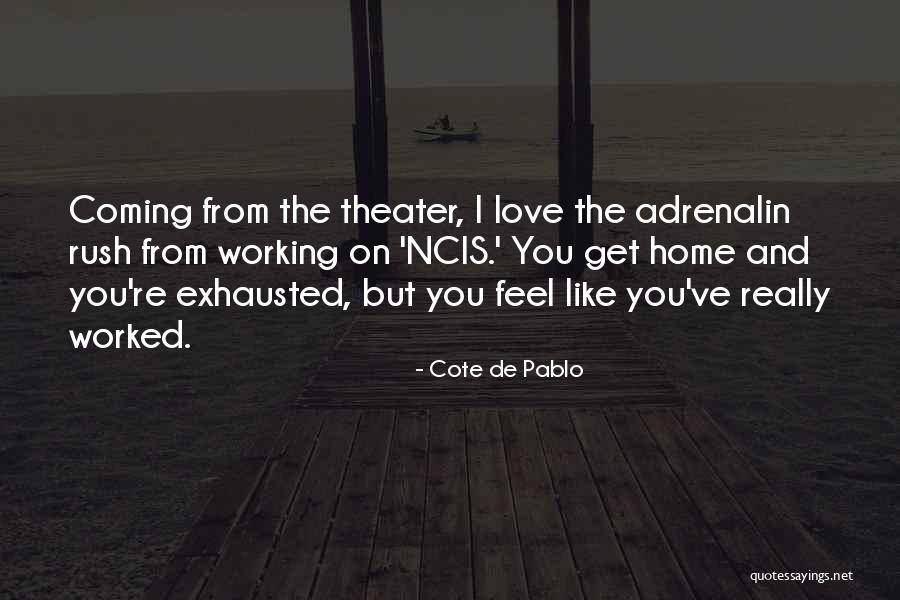 You're Coming Home Quotes By Cote De Pablo