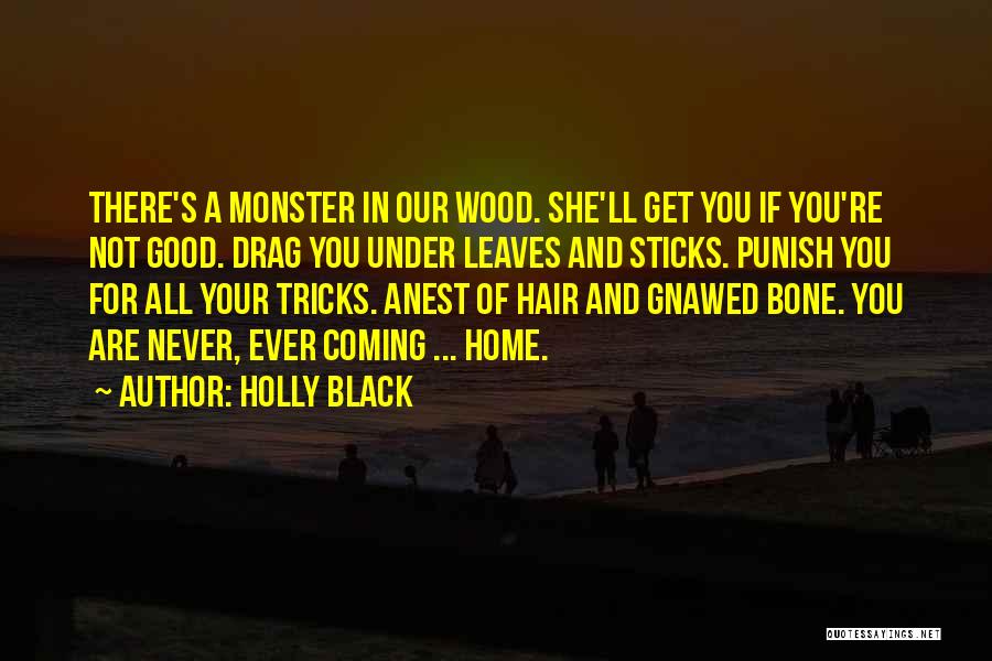 You're Coming Home Quotes By Holly Black