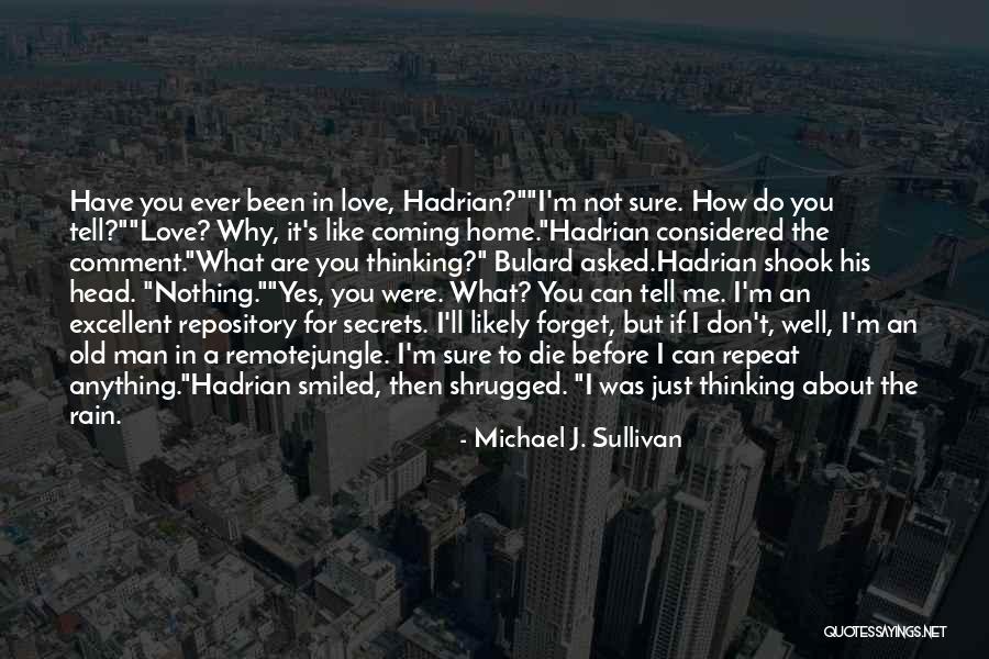 You're Coming Home Quotes By Michael J. Sullivan