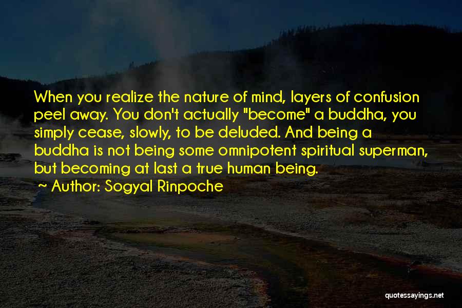 You're Deluded Quotes By Sogyal Rinpoche