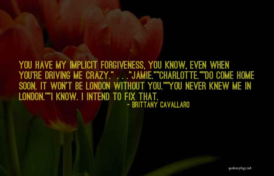You're Driving Me Crazy Quotes By Brittany Cavallaro You're Driving Me Crazy Quotes By Brittany Cavallaro