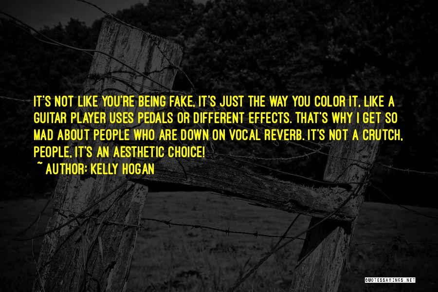 You're Fake Quotes By Kelly Hogan