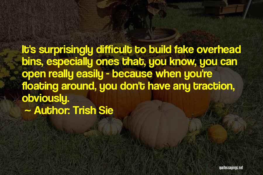 You're Fake Quotes By Trish Sie