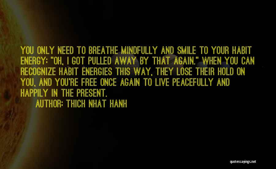 You're Free Quotes By Thich Nhat Hanh