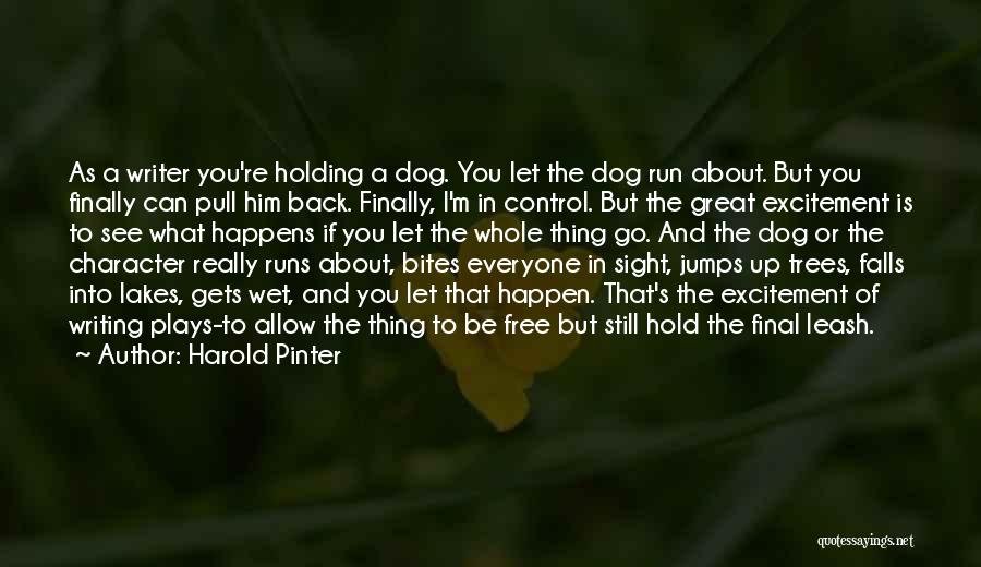 You're Free To Go Quotes By Harold Pinter