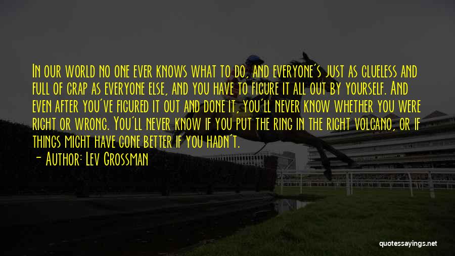 You're Full Of Crap Quotes By Lev Grossman