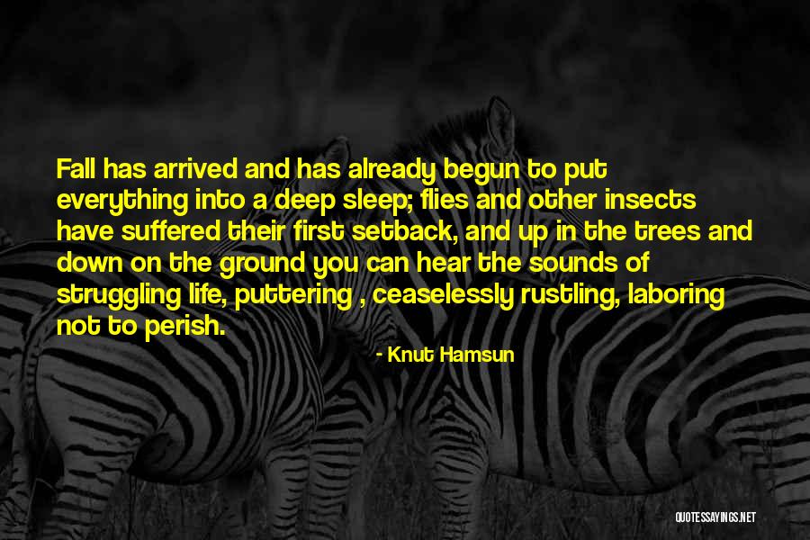 Youre Gayer Than Quotes By Knut Hamsun Youre Gayer Than Quotes By Knut Hamsun