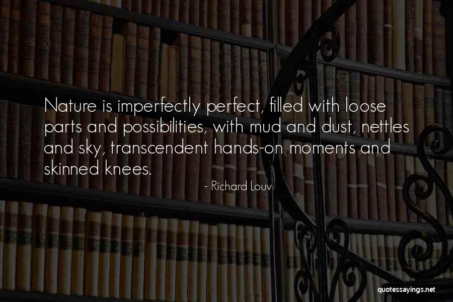 You're Imperfectly Perfect Quotes By Richard Louv