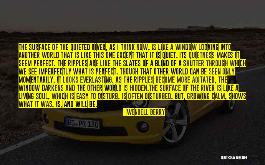 You're Imperfectly Perfect Quotes By Wendell Berry