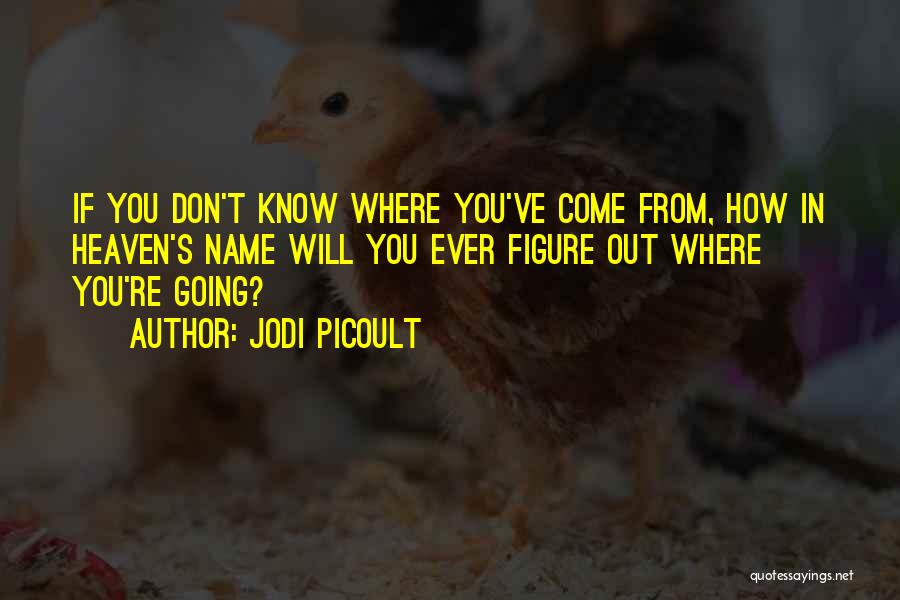 You're In Heaven Quotes By Jodi Picoult
