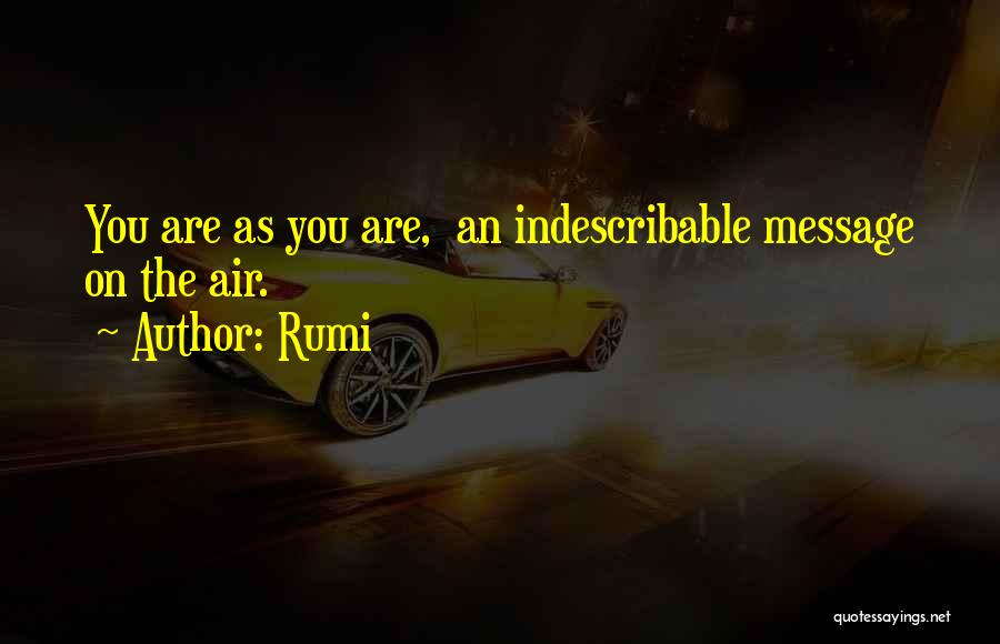 You're Indescribable Quotes By Rumi