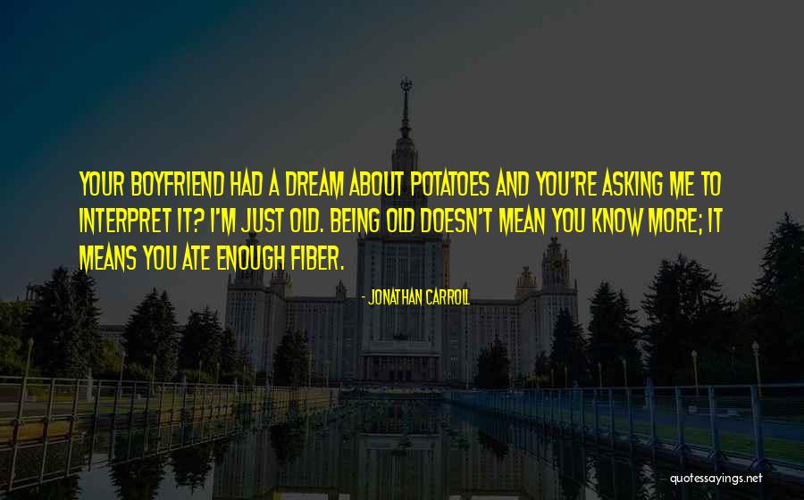 You're Just A Dream Quotes By Jonathan Carroll You're Just A Dream Quotes By Jonathan Carroll