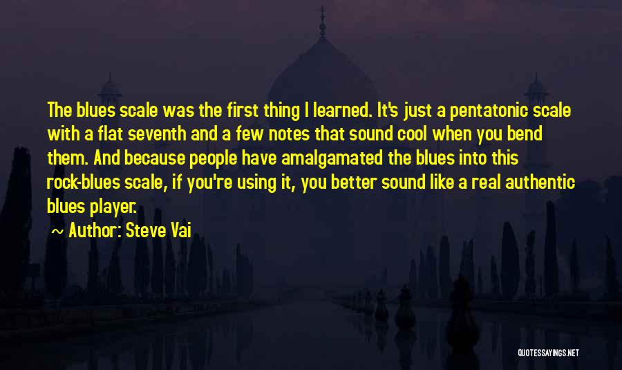 You're Just A Player Quotes By Steve Vai
