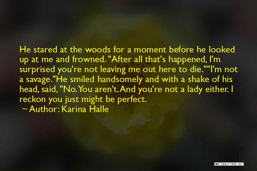 You're Just Perfect Quotes By Karina Halle