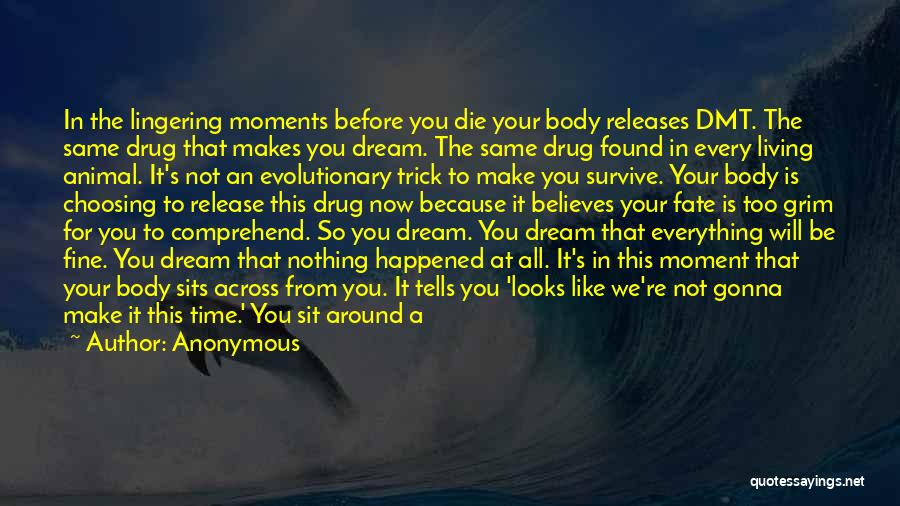 You're Like A Dream Quotes By Anonymous