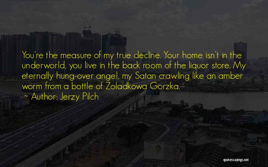 You're My Angel Quotes By Jerzy Pilch