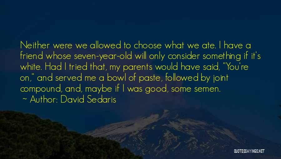 You're My Friend Quotes By David Sedaris